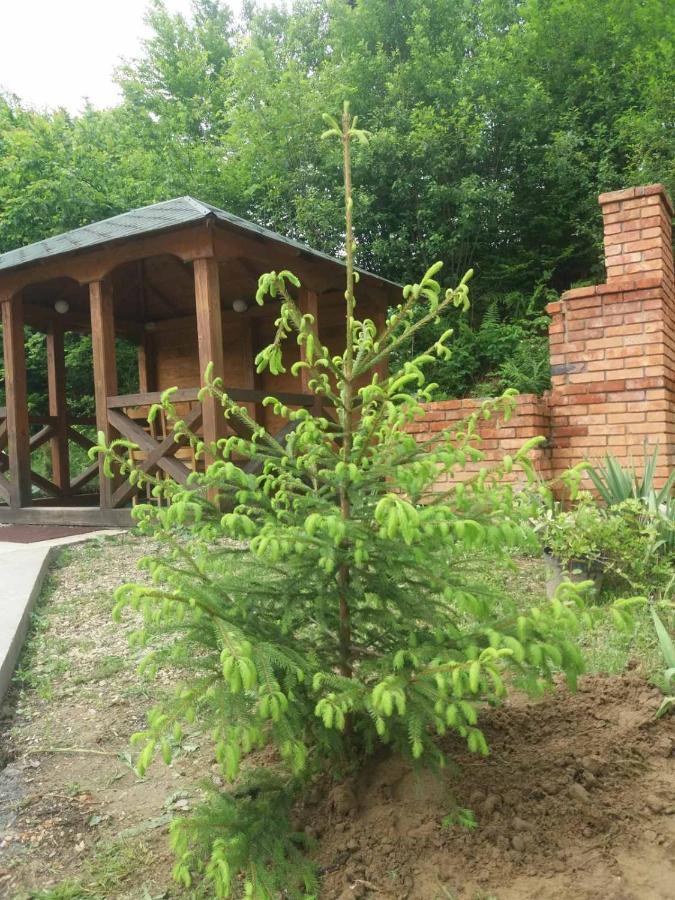 Villa Na Uzlissi ميغوفو المظهر الخارجي الصورة